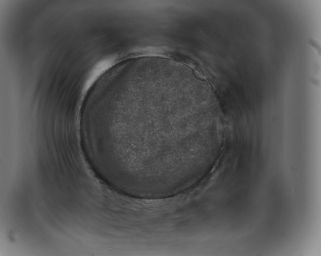 X0000091340006200708311506