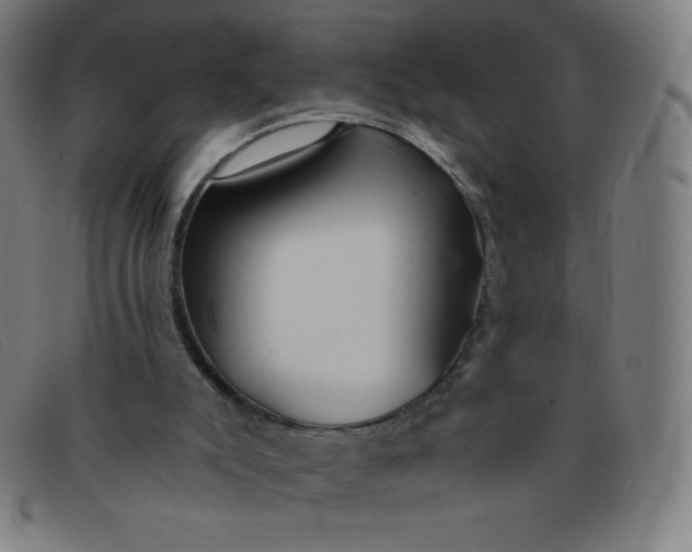 X0000091340007200708311506