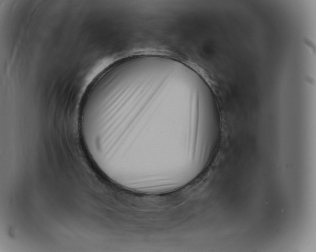 X0000091340008200708311505