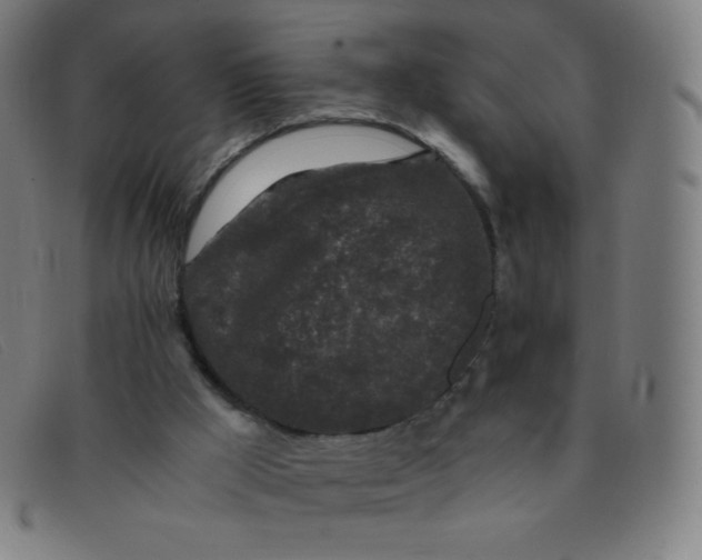 X0000091340009200708311505