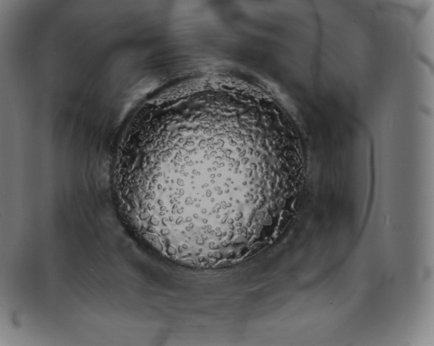 X0000091340010200708311505