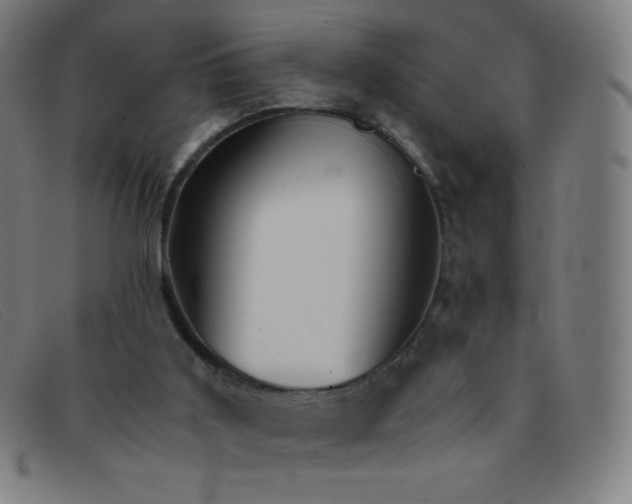 X0000091340011200708311505