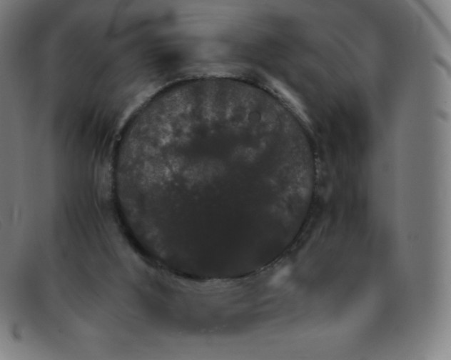 X0000091340012200708311505