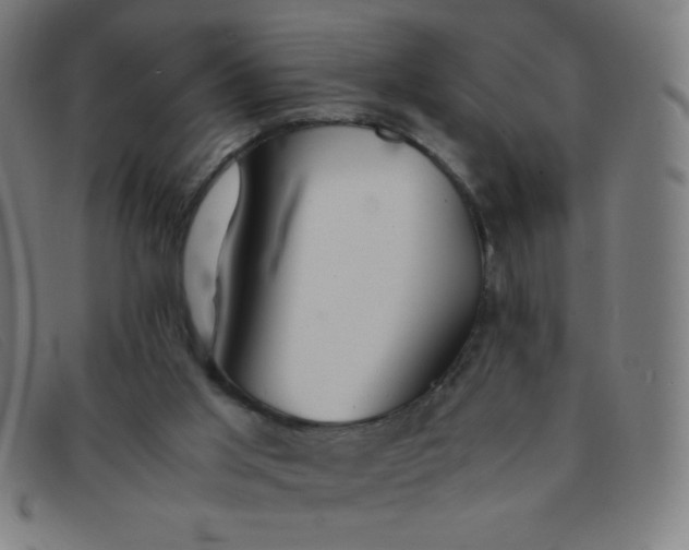 X0000091340013200708311505