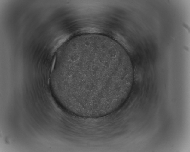 X0000091340014200708311505