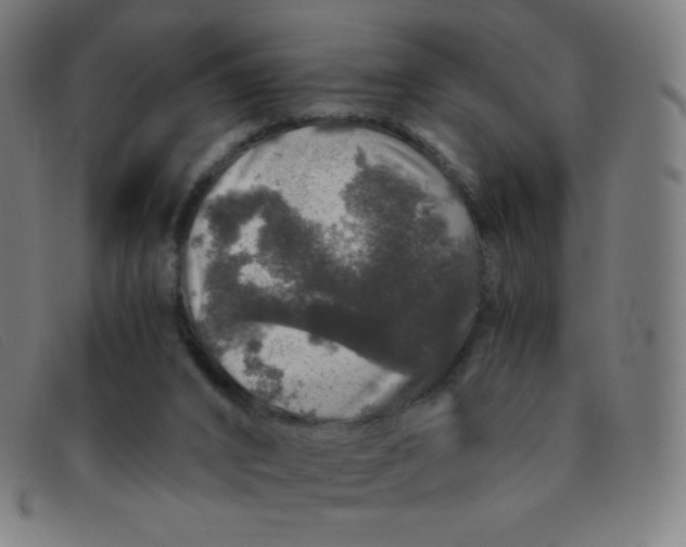 X0000091340016200708311505