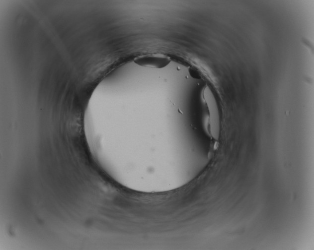 X0000091340017200708311505