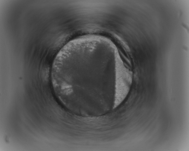 X0000091340018200708311505