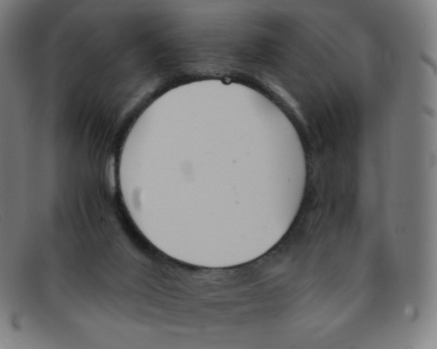 X0000091340020200708311505