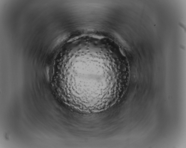 X0000091340022200708311505