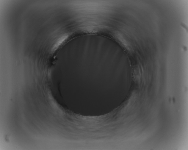 X0000091340023200708311505