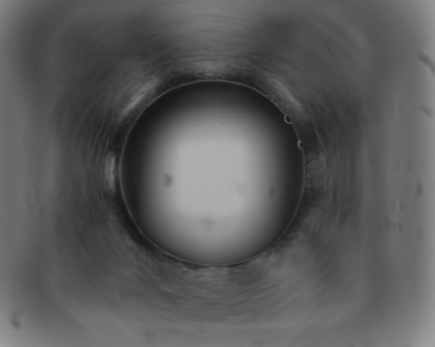 X0000091340024200708311505