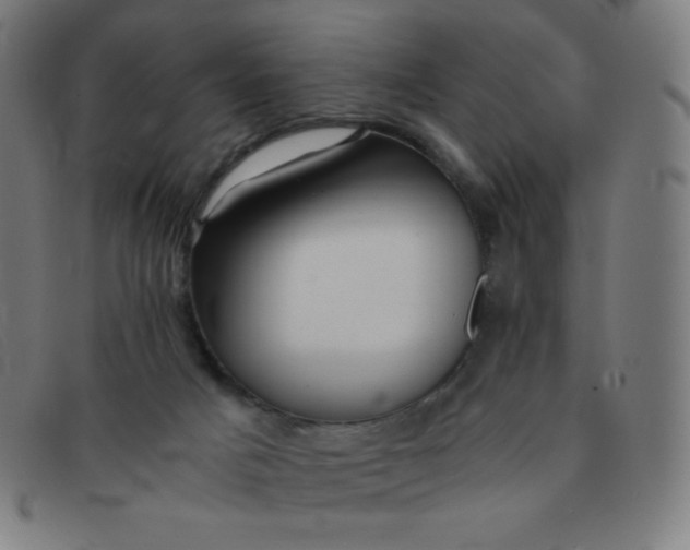 X0000091340025200708311505