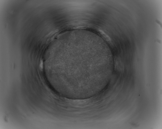 X0000091340026200708311505