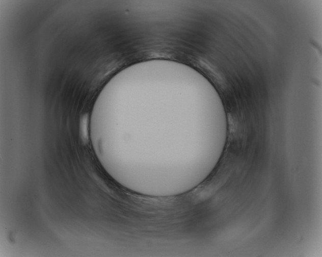 X0000091340028200708311505