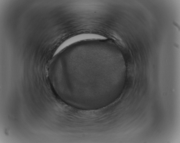 X0000091340029200708311505