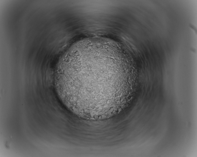 X0000091340030200708311505