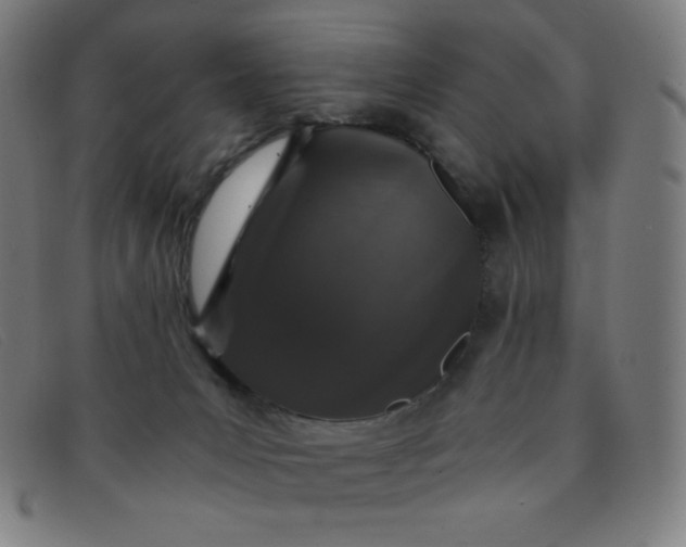 X0000091340031200708311505