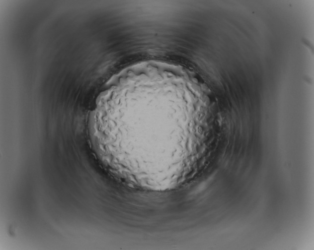 X0000091340032200708311505