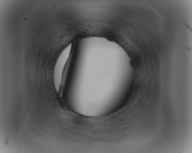 X0000091340033200708311505