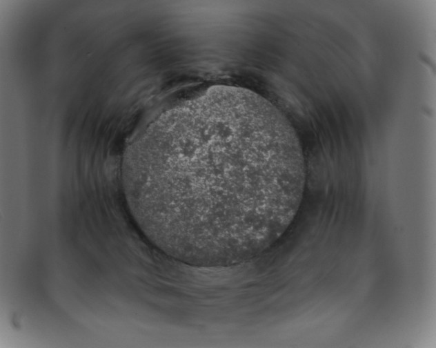 X0000091340034200708311505