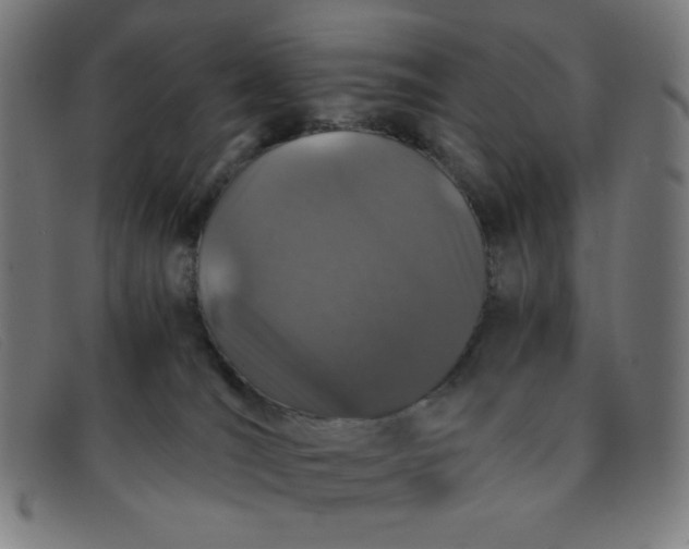 X0000091340036200708311505