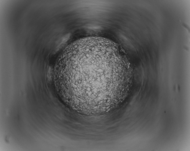 X0000091340038200708311505