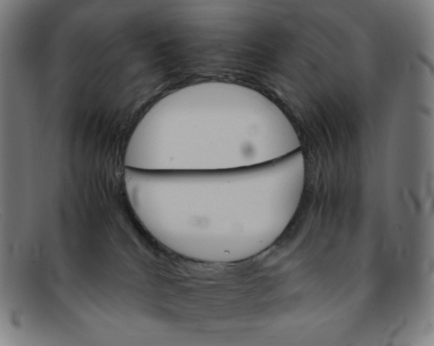 X0000091340040200708311505