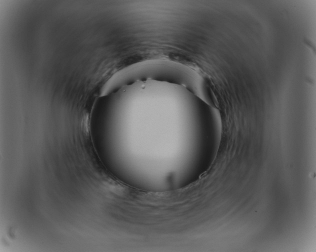 X0000091340041200708311505