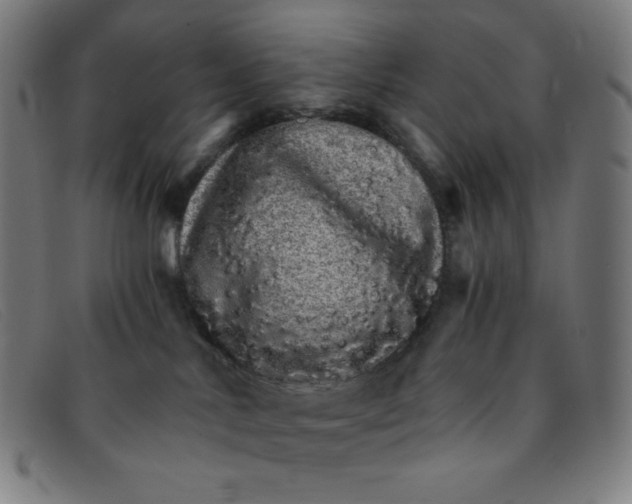 X0000091340042200708311505