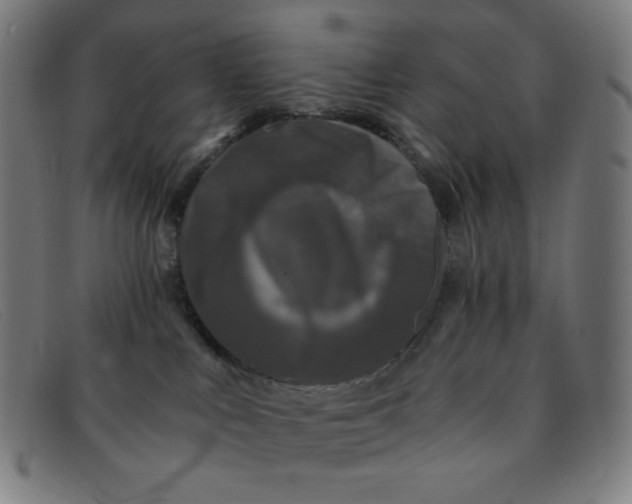 X0000091340043200708311505