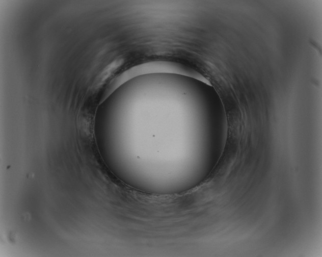 X0000091340044200708311505