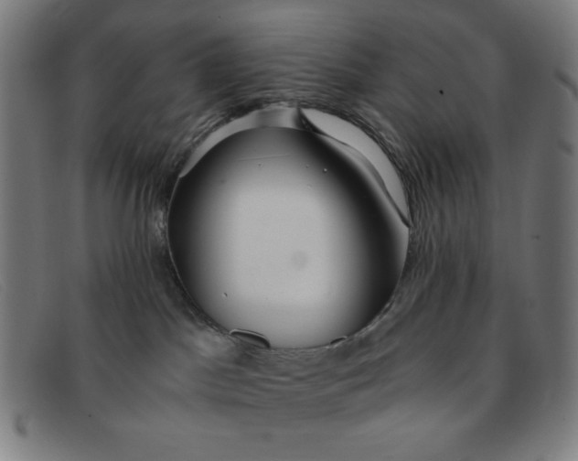 X0000091340045200708311505