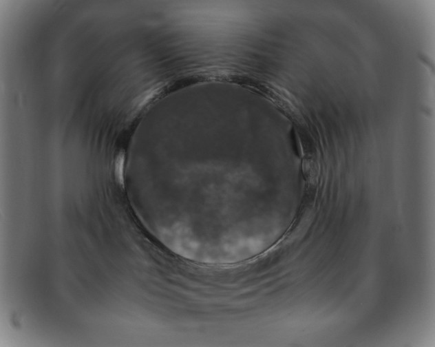 X0000091340047200708311505