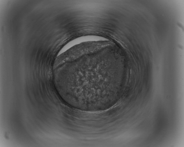 X0000091340048200708311505