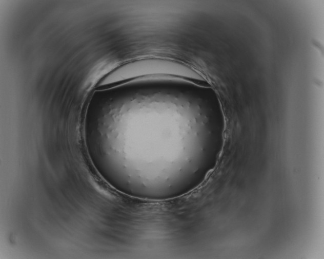 X0000091340050200708311504