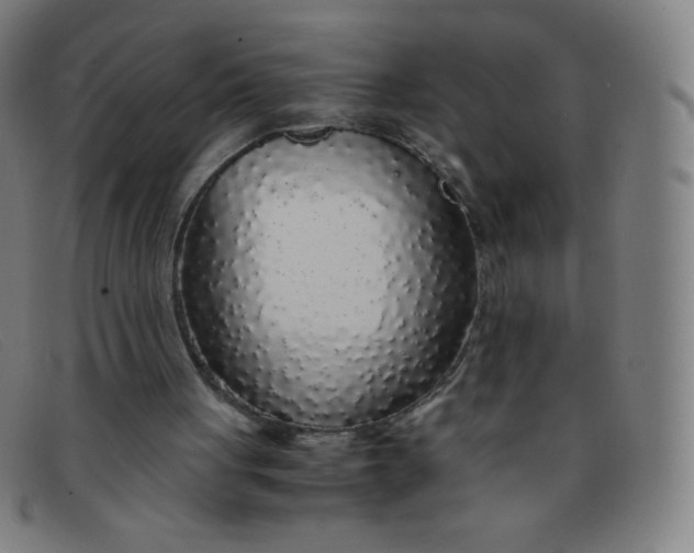 X0000091340051200708311504