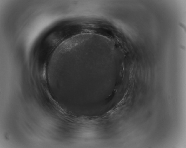 X0000091340052200708311504