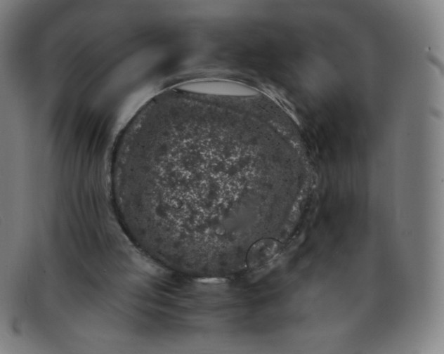 X0000091340053200708311504