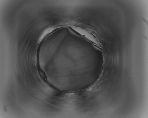 X0000091340054200708311504