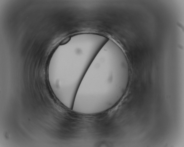 X0000091340055200708311504