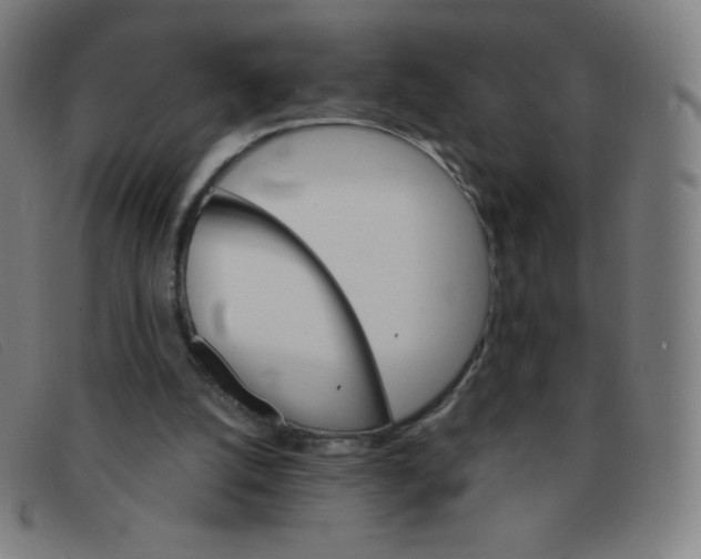 X0000091340056200708311504