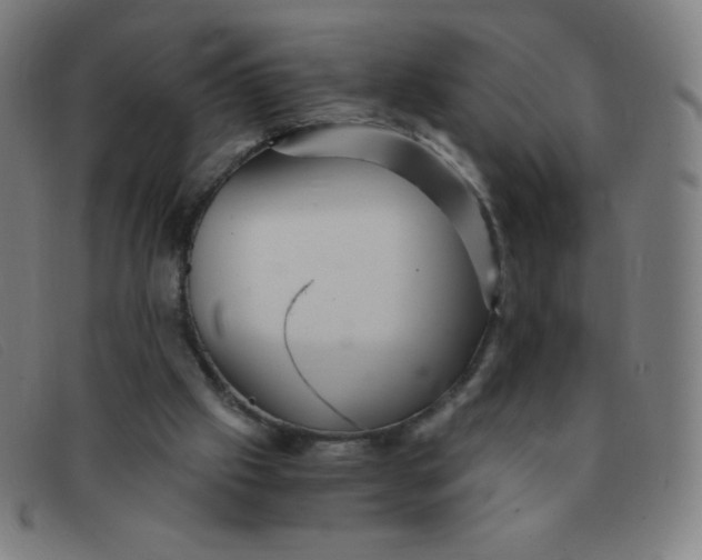 X0000091340057200708311504