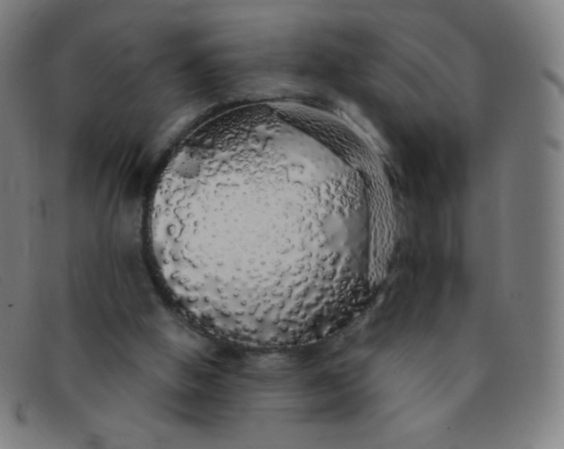 X0000091340058200708311504