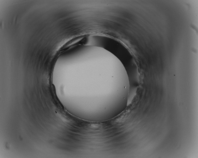 X0000091340060200708311504