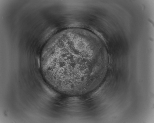 X0000091340061200708311504