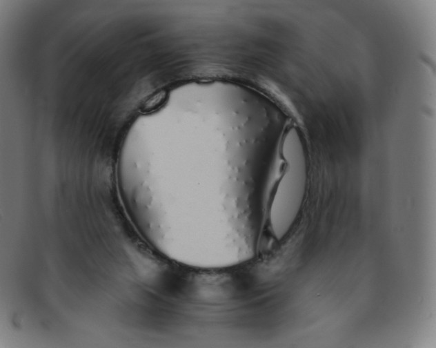 X0000091340063200708311504