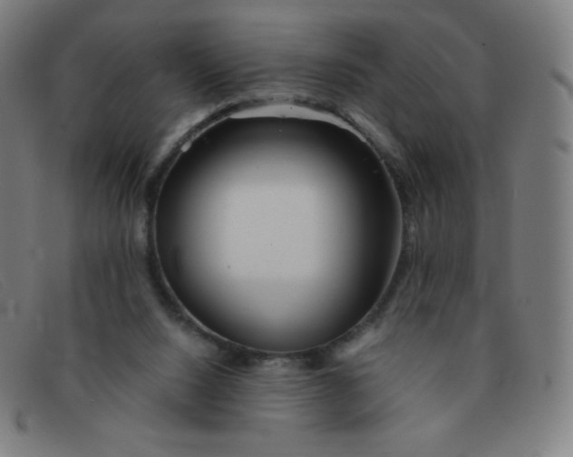 X0000091340064200708311504