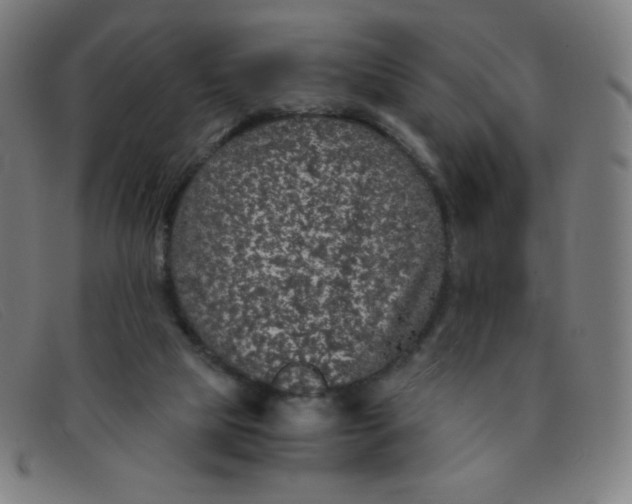 X0000091340065200708311504