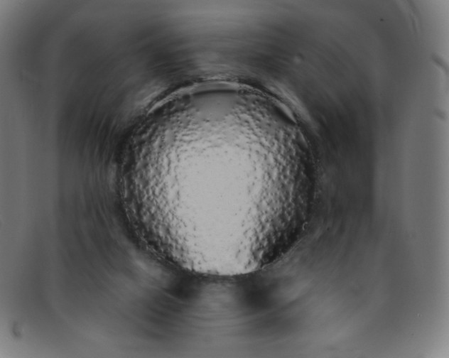 X0000091340066200708311504